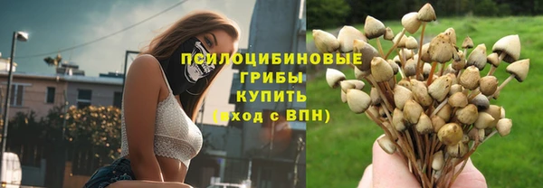 бошки Нефтегорск