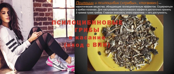 дмт Алексин